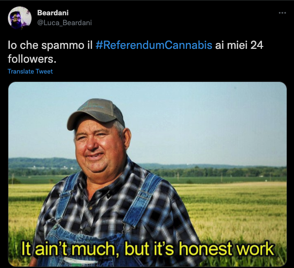 spam-referendum-cannabis.png